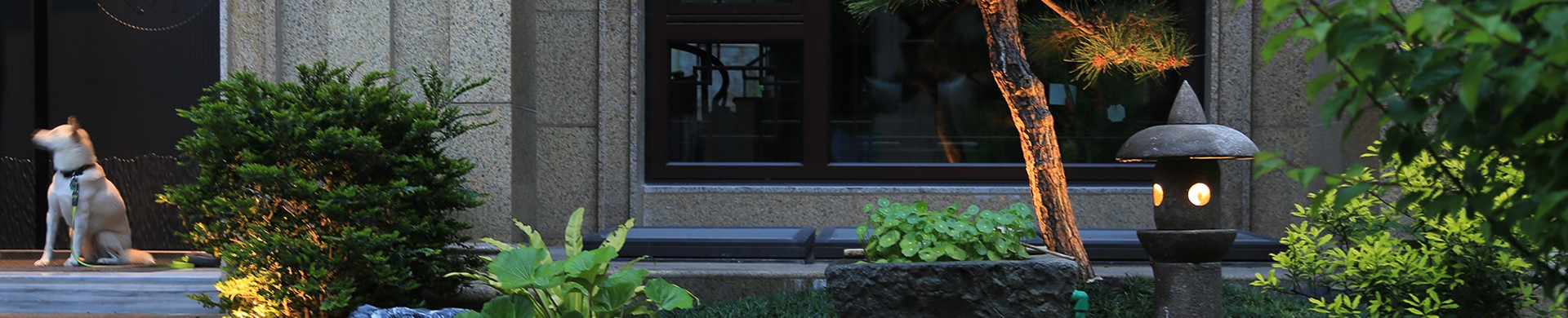 荣誉资讯banner